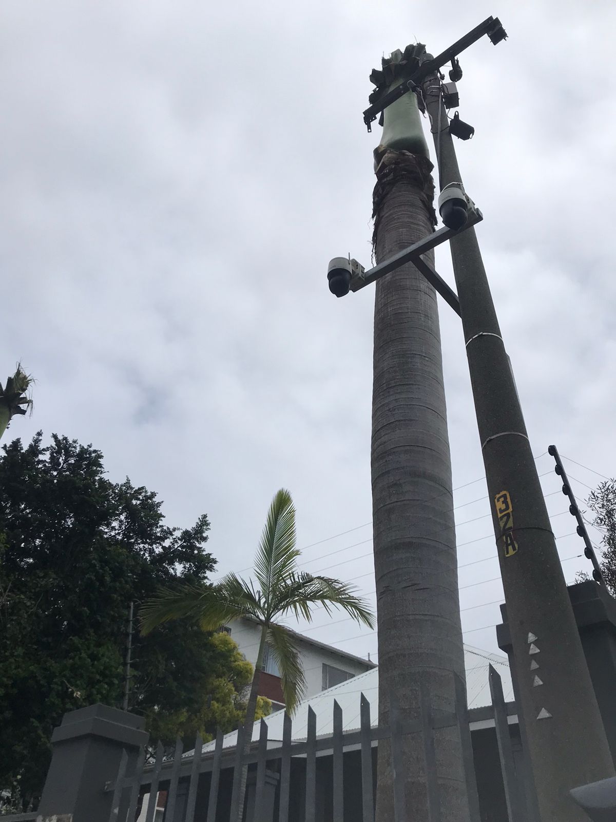 WhatsApp Image 2025-01-23 at 08.02.09_f3752bea WhatsApp Image 2025-01-23 at 08.02.09_f3752bea