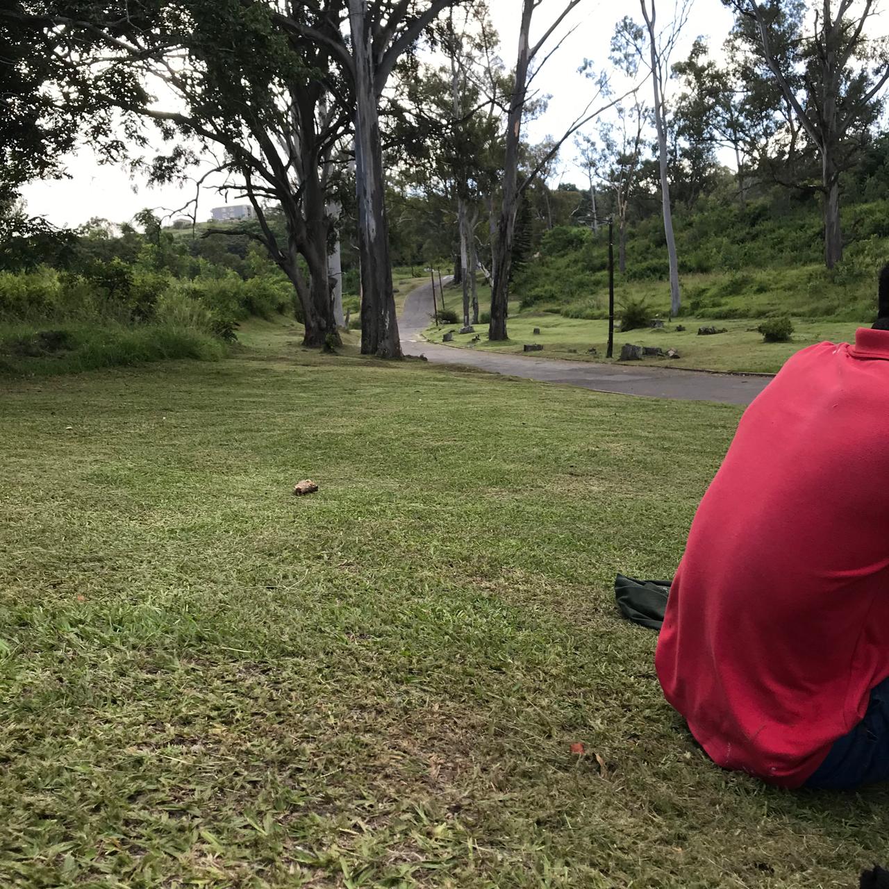 WhatsApp Image 2025-01-23 at 08.10.56_b38c4473 WhatsApp Image 2025-01-23 at 08.10.56_b38c4473